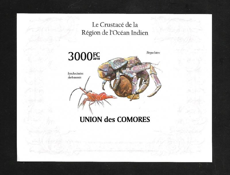 Comoro Islands 2010 - MNH - Souvenir Sheet - Scott #Unlisted