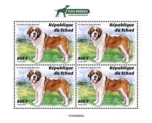 Chad - 2020 Saint Bernard Dog Breeds - 4 Stamp Sheet - TCH200503a