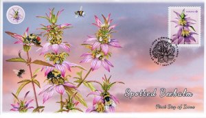 CA24-009, 2024, Wildflowers, First Day of Issue, Pictorial Postmark, P-rate,Spot
