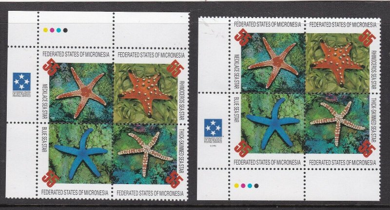 MICRONESIA ^^^^^sc# 240  x2  MNH BLOCKS  ( STARFISHES) $$@ lar 850micro 