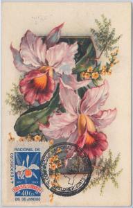 51551 - BRAZIL - POSTAL HISTORY: MAXIMUM CARD - 1962  FLOWERS: ORCHIDS