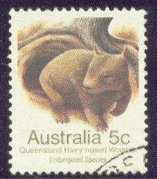 AUSTRALIA  786 USED 1981 WILDLIFE-QUEENSLAND WOMBAT