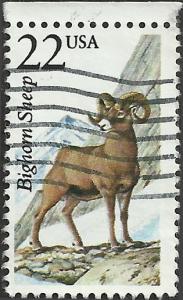 # 2288 USED BIGHORN SHEEP