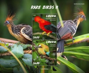 Liberia - 2020 Rare Birds on Stamps - 2 Stamp Souvenir Sheet - LIB200225b