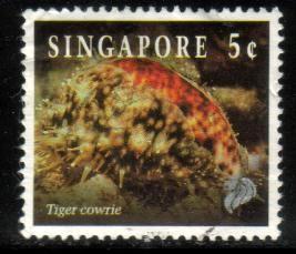 Marine Life, Tiger Cowrie, Singapore stamp SC#674 used