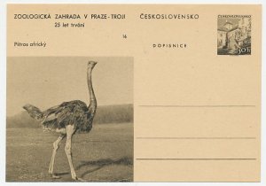 Postal stationery Czechoslovakia 1956 Bird - Ostrich - Zoo Prague