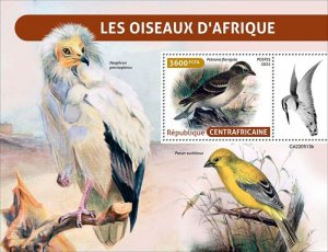 Central Africa - 2022 Birds of Africa - Stamp Souvenir Sheet - CA220513b