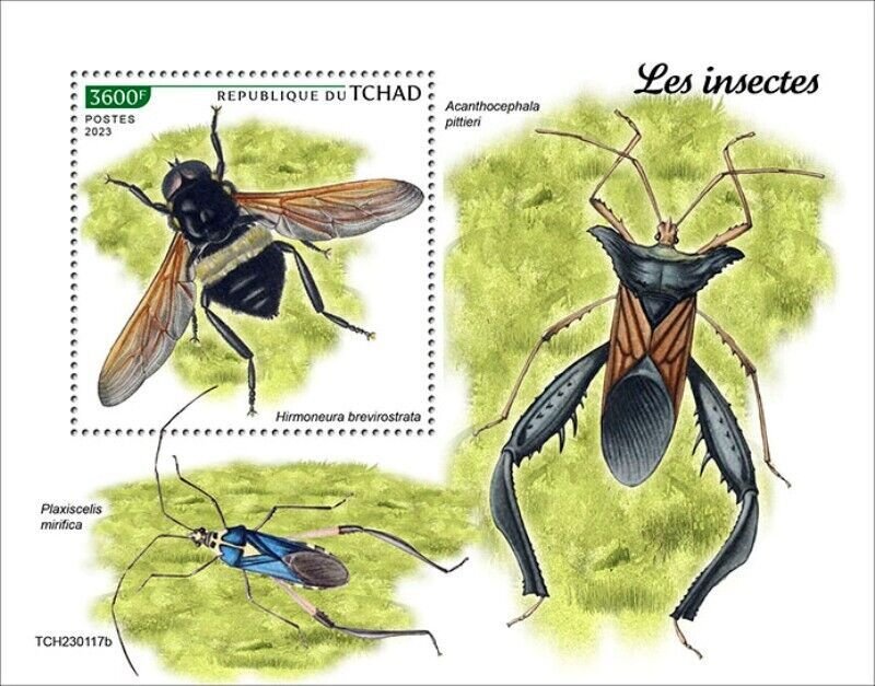 Chad - 2023 Insects, Tangle-veined Fly - Stamp Souvenir Sheet - TCH230117b