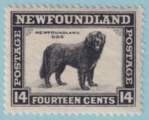 NEWFOUNDLAND 194  MINT HINGED OG * NO FAULTS VERY FINE! - QZY