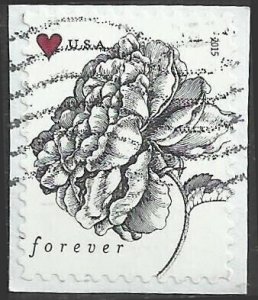 # 4959 Used Vintage Rose