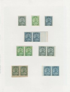 PARAGUAY 1905-10 LION & PALACE Sc 91-128 PROOFS COLLECTION 19 SINGLES & 29 PAIRS