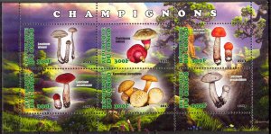 Congo 2013 Mushrooms (1) MNH Cinderella !