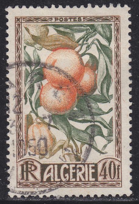 Algeria 231 Oranges & Lemons 1950