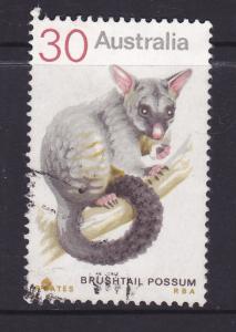 Australia 1974 Animals Bushtail Possum 30c used 