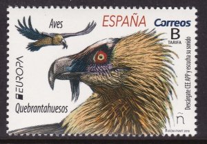 Spain, Fauna, Birds, EUROPA MNH / 2019