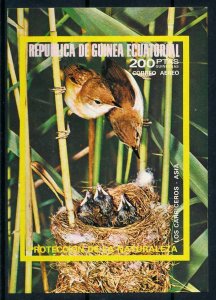 [75609] Equatorial Guinea 1976 Birds Oiseaux Uccelli Souvenir Sheet MNH BL. 241