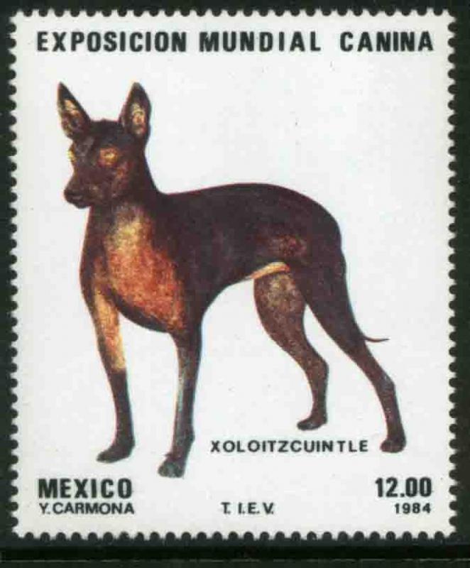 MEXICO 1348 World Dog Exposition MINT, NH. VF.