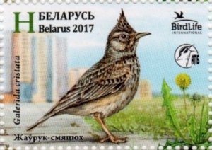 Belarus 2017 MNH Stamps Scott 1041 Birds