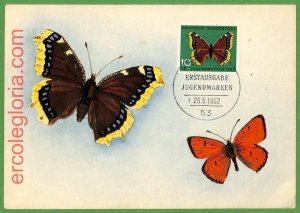 32387 - Germany - MAXIMUM CARD - 25.5.1962 - butterflies-