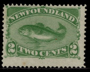 CANADA - Newfoundland QV SG46, 2c yellow-green, M MINT. Cat £60.