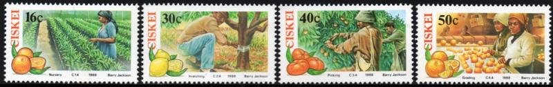 Ciskei - 1988 Citrus Farming Set MNH** SG 137-140