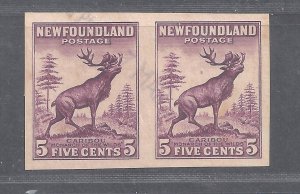 CANADA NEWFOUNDLAND # 191b USED 5c CARIBOU IMPERFORATE PAIR BS25668