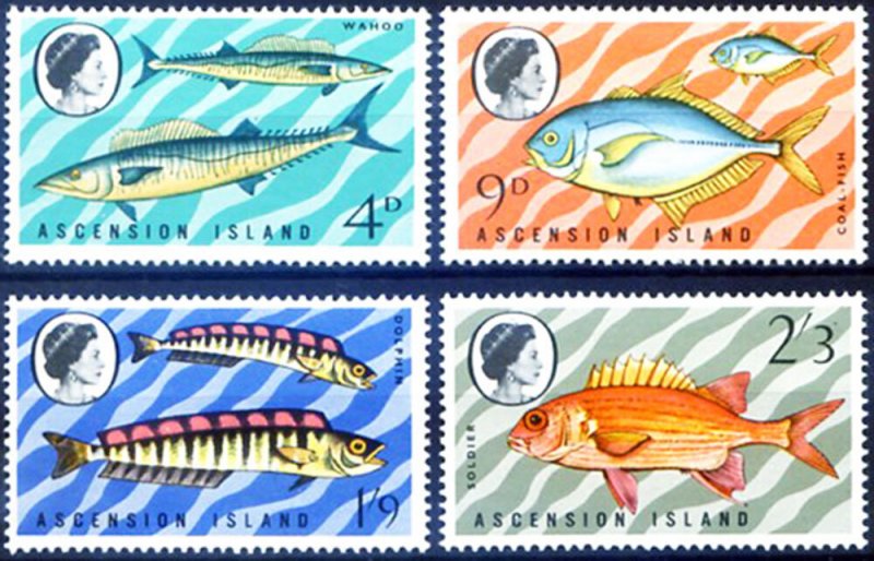 Fauna. 1970 Fish.