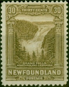Newfoundland 1928 30c Sepia SG178 Fine MM