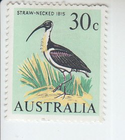 1966 Australia Straw-necked Ibis  (Scott 411) MH