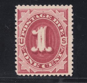 US Sc J22 MNH. 1891 1c claret Postage Due, unwatermarke 