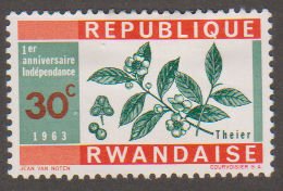 Rwanda 29 Tea 1963