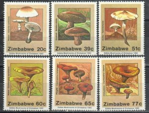 Zimbabwe Stamp 658-663  - Mushrooms