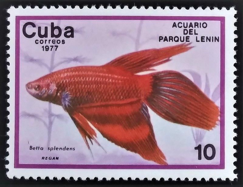 1977 CUBA 10c MINT NH STAMP - ID:7253