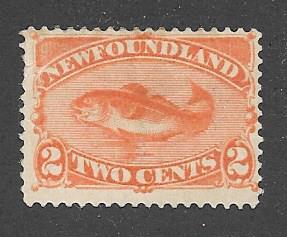 Newfoundland  Scott #48  Mint H  Scott CV $32.50  Has tiny tear at left margin