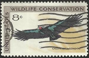 # 1430 USED CALIFORNIA CONDOR