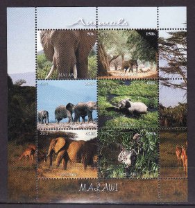 Malawi-unused NH sheet of 6-Animals-Elephant-Tiger-2011-i