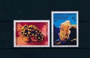 [49242] New Caledonia 1990 Marine life sea slugs nudibranch  MNH