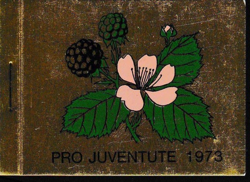 Swiss 1973 Pro-Juventute Booklet Complete Nr.22 J244 Very Fresh