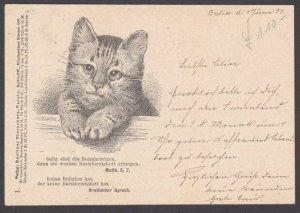 GERMANY BERLIN Private Post 1896 2pf on cat postcard used...................B346