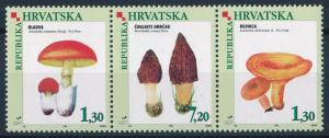 [68932] Croatia 1998 Mushrooms Pilze Champignons  MNH