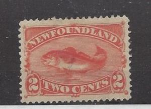 Newfoundland 48 Fish Single MNH