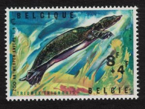 Belgium Soft-shelled Turtle Reptiles of Antwerp Zoo 1965 MNH SG#MS1947 MI#1405