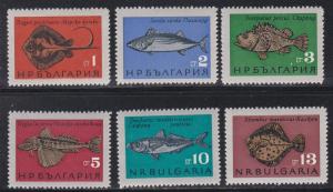 Bulgaria # 1403-1408, Black Sea Fish, NH, 1/2 Cat.