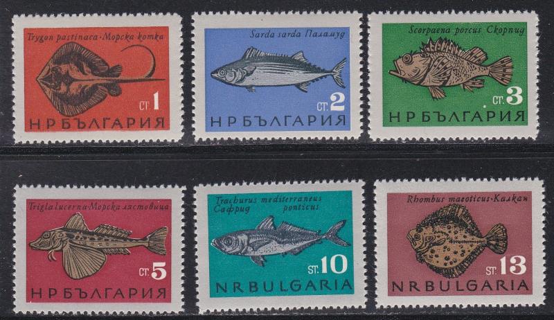 Bulgaria # 1403-1408, Black Sea Fish, NH, 1/2 Cat.