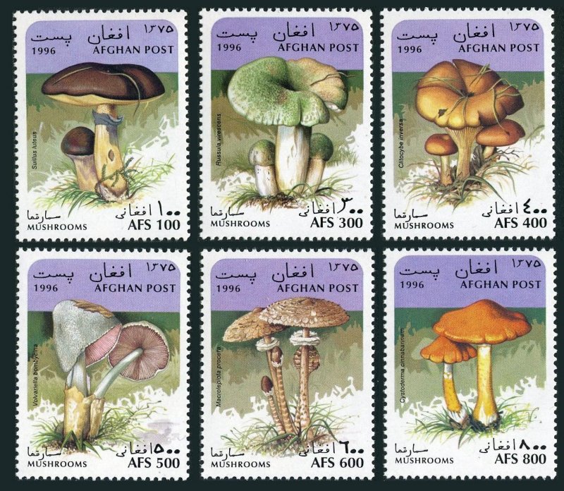 Afghanistan 1668-1673, 1674 Bl.86 Michel, MNH. Mushrooms 1996.