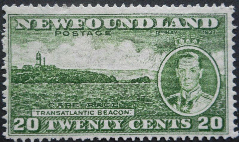 Newfoundland 1937 Twenty Cents p13½ SG 264e mint