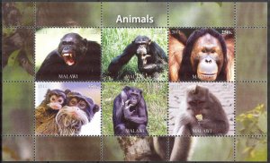 Malawi 2011 Animals Monkeys MNH Private