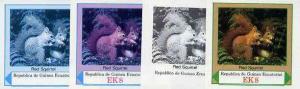 Equatorial Guinea 1977 European Animals EK8 (Red Squirrel...