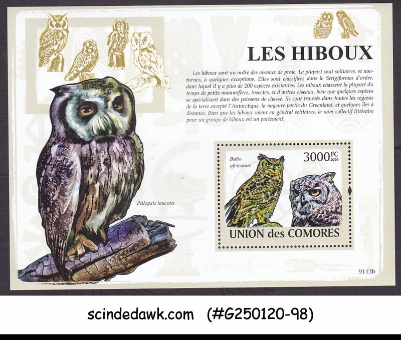 COMOROS - 2009  OWLS / BIRDS OF PREY - MIN/SHT MNH