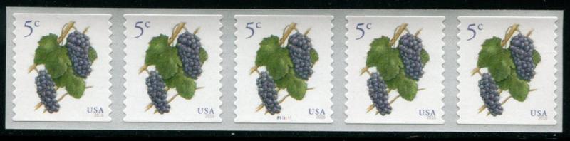 5038 US 5c Pinot Noir Grapes SA coil, MNH PNC5 #P111111